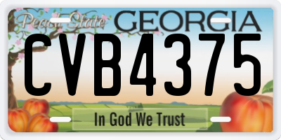 GA license plate CVB4375