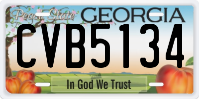 GA license plate CVB5134