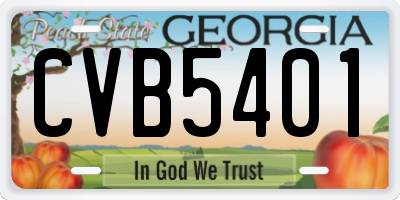 GA license plate CVB5401