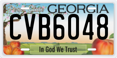 GA license plate CVB6048