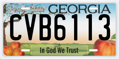 GA license plate CVB6113