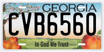 GA license plate CVB6560