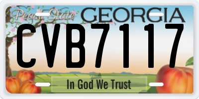 GA license plate CVB7117