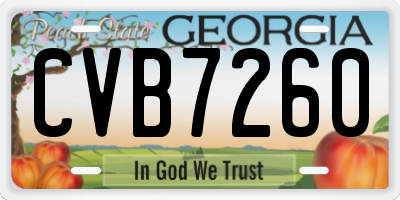 GA license plate CVB7260