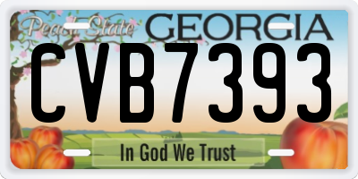 GA license plate CVB7393