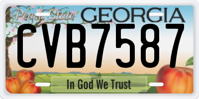 GA license plate CVB7587