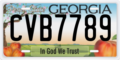 GA license plate CVB7789