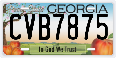 GA license plate CVB7875