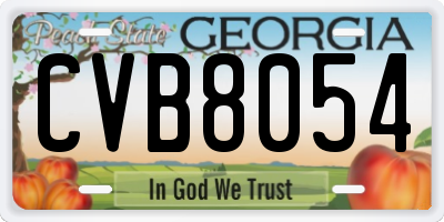 GA license plate CVB8054