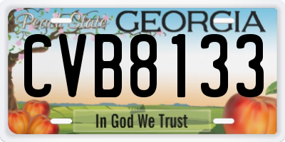 GA license plate CVB8133
