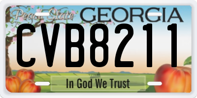 GA license plate CVB8211