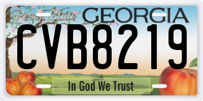 GA license plate CVB8219