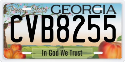 GA license plate CVB8255