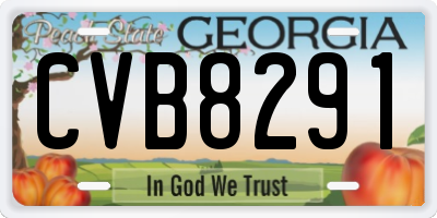 GA license plate CVB8291