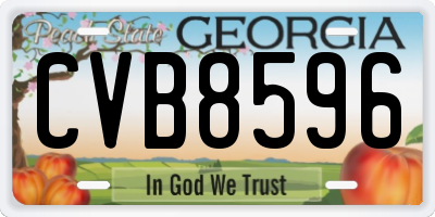 GA license plate CVB8596