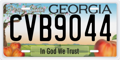 GA license plate CVB9044