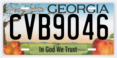 GA license plate CVB9046