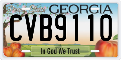 GA license plate CVB9110