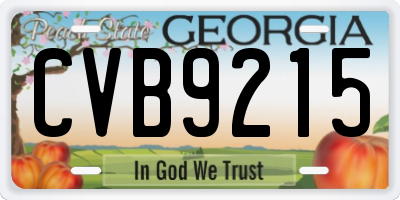 GA license plate CVB9215