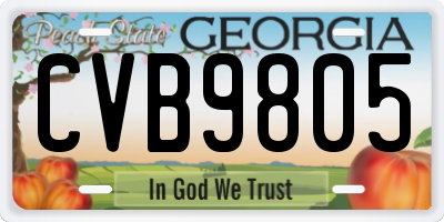 GA license plate CVB9805