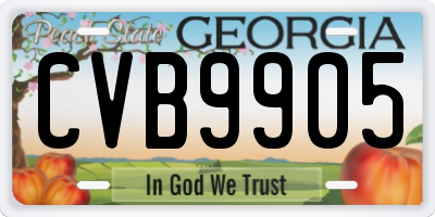 GA license plate CVB9905