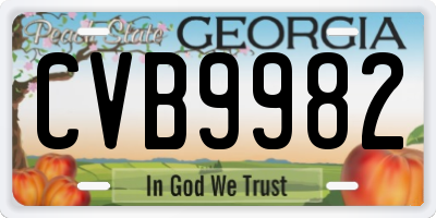 GA license plate CVB9982