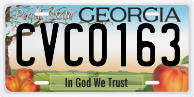 GA license plate CVC0163