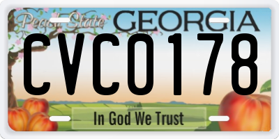 GA license plate CVC0178