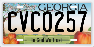 GA license plate CVC0257
