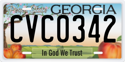 GA license plate CVC0342