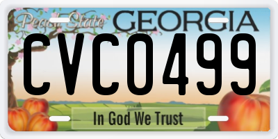 GA license plate CVC0499