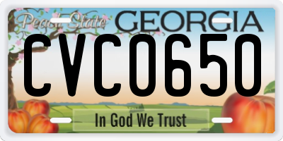 GA license plate CVC0650