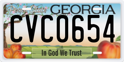 GA license plate CVC0654