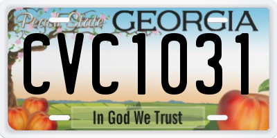GA license plate CVC1031