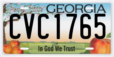 GA license plate CVC1765