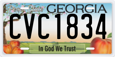GA license plate CVC1834