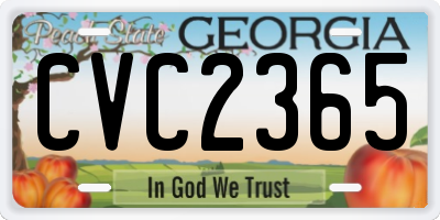 GA license plate CVC2365