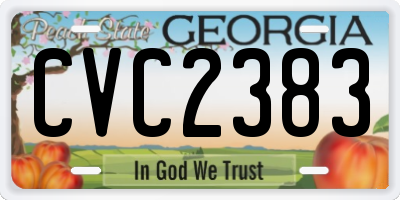 GA license plate CVC2383