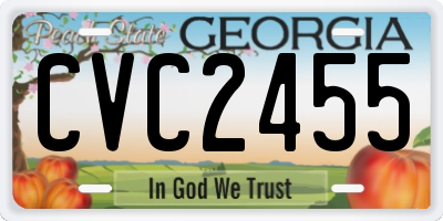 GA license plate CVC2455