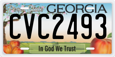 GA license plate CVC2493