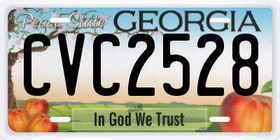 GA license plate CVC2528