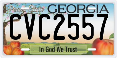 GA license plate CVC2557