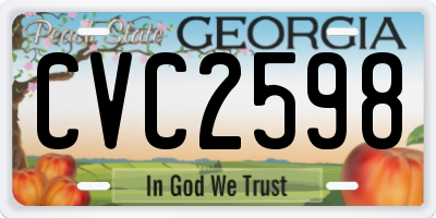 GA license plate CVC2598