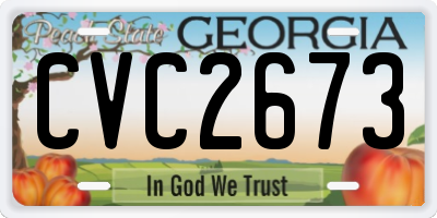 GA license plate CVC2673