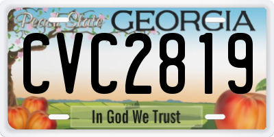 GA license plate CVC2819