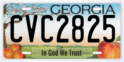 GA license plate CVC2825