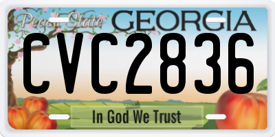 GA license plate CVC2836