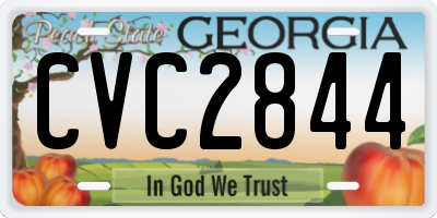 GA license plate CVC2844