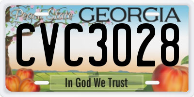 GA license plate CVC3028