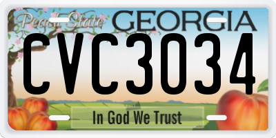 GA license plate CVC3034